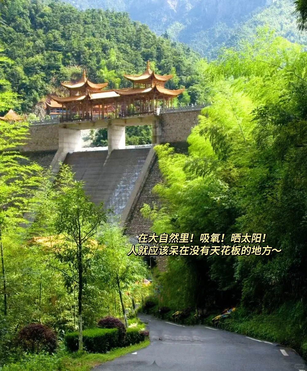 📍江西.大觉山一日游攻略|一个人怎么玩💨