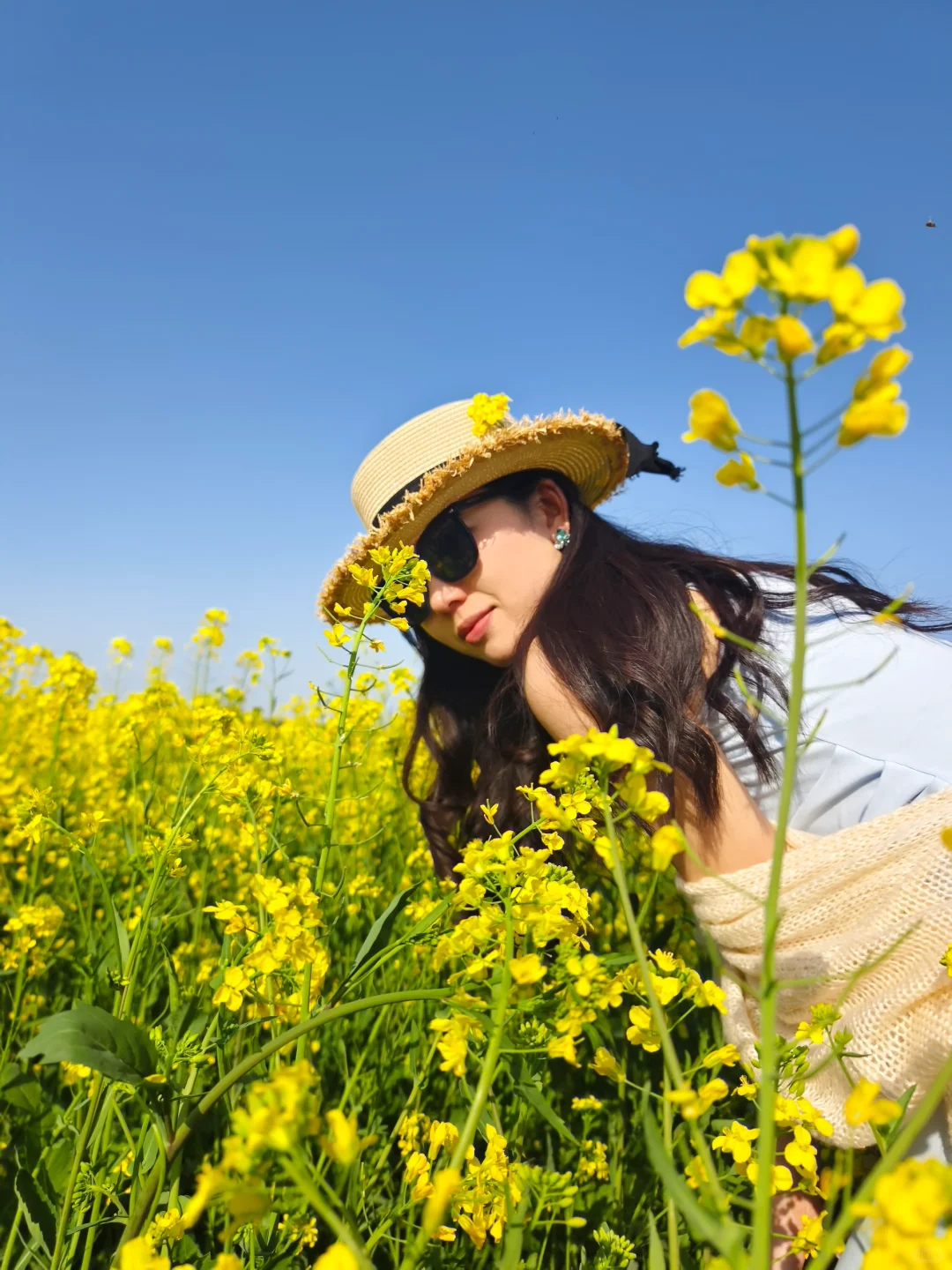 一眼万年的油菜花海🍃