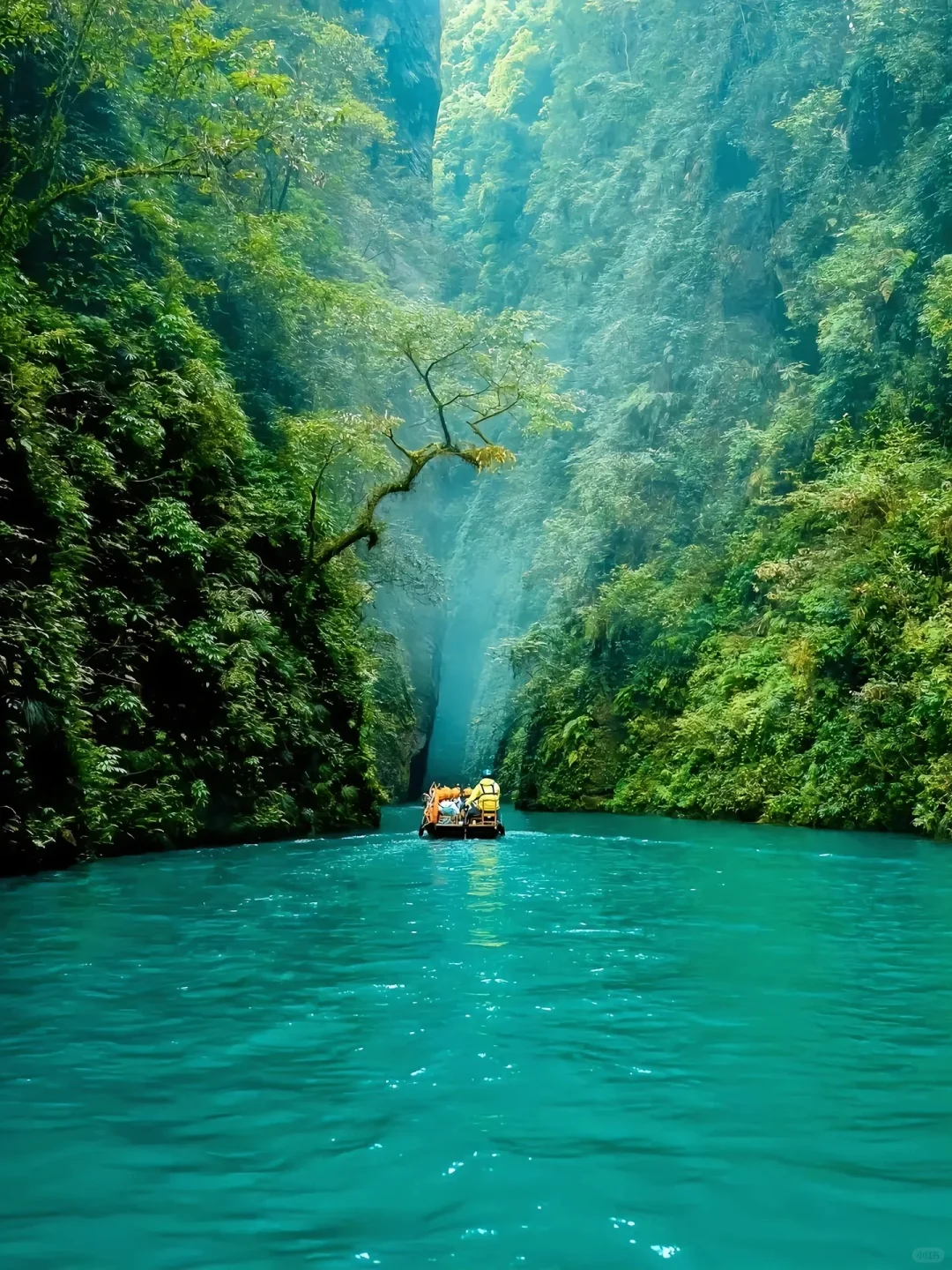 国家地理没骗人📍湖北恩施真的是仙境