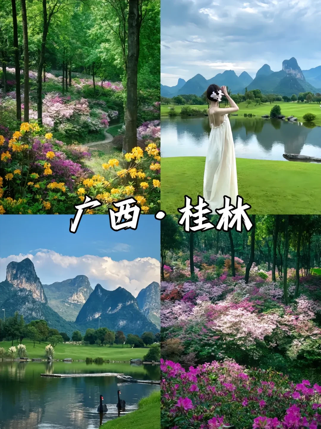 赏花漫游🖼️适合春季旅游的9️⃣座城市