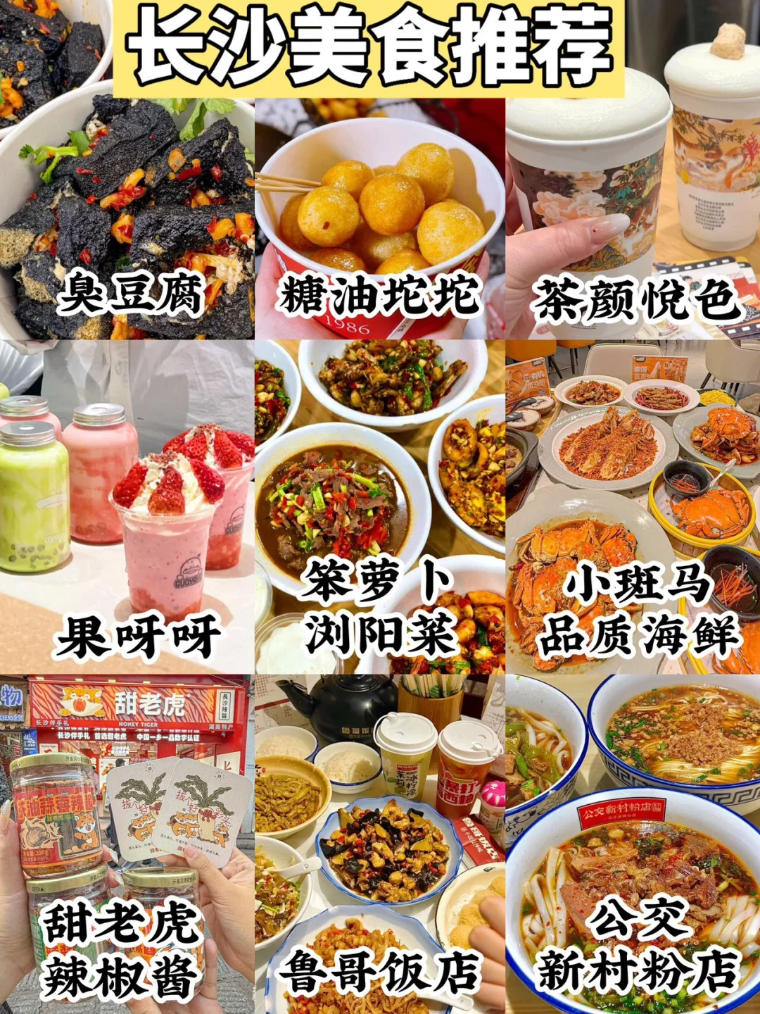 国内1️⃣5️⃣个适合旅游的城市