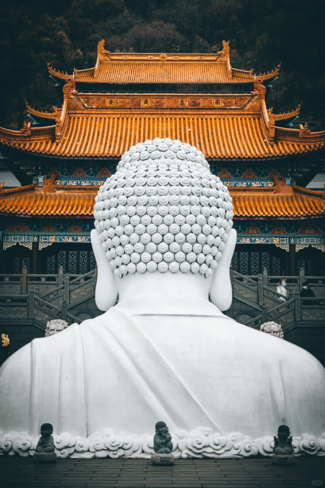 暴走南京24h，我拍到了这🔟个大片机位～