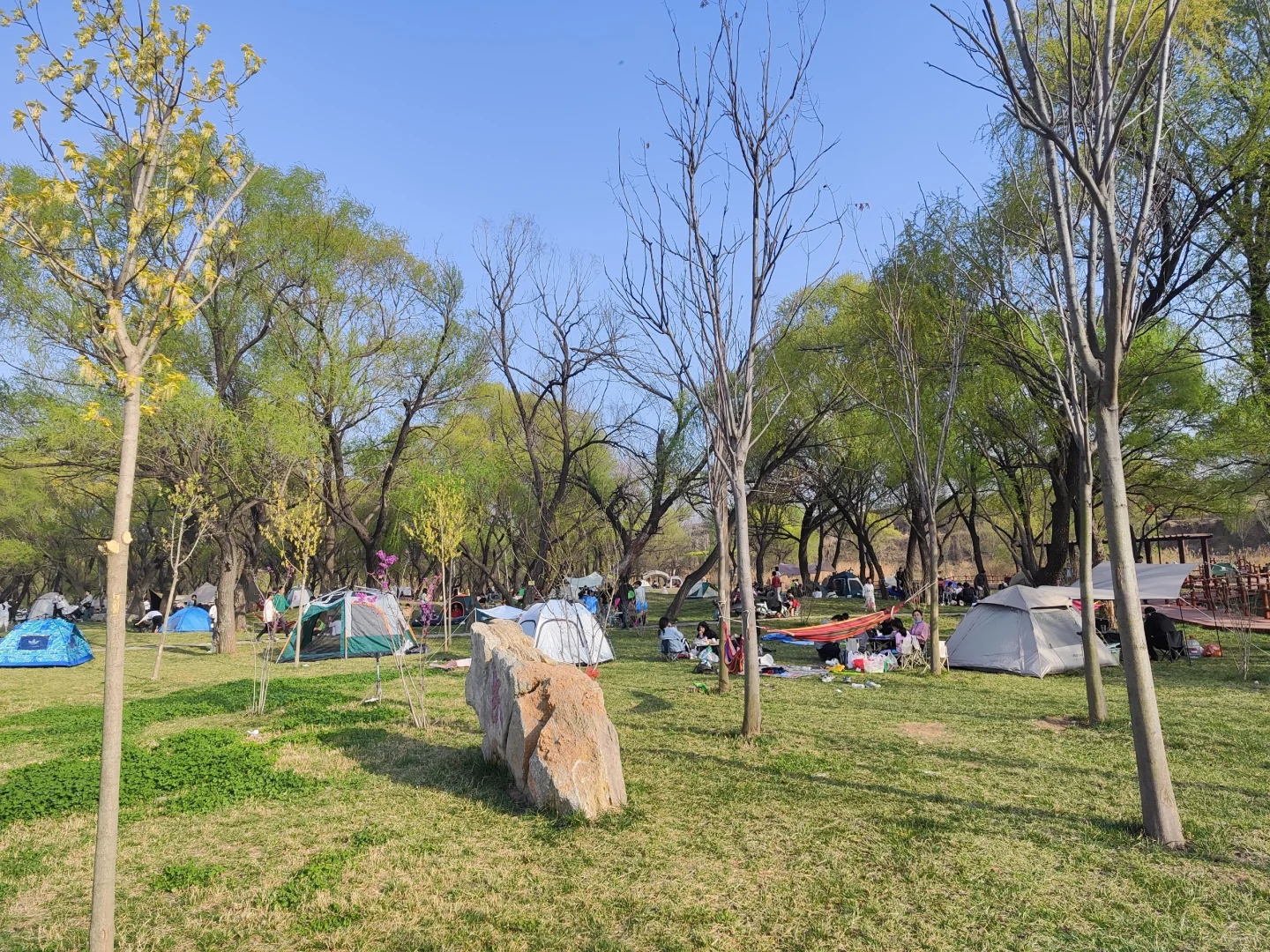 ✨邯郸👣免费露营遛娃的好地方