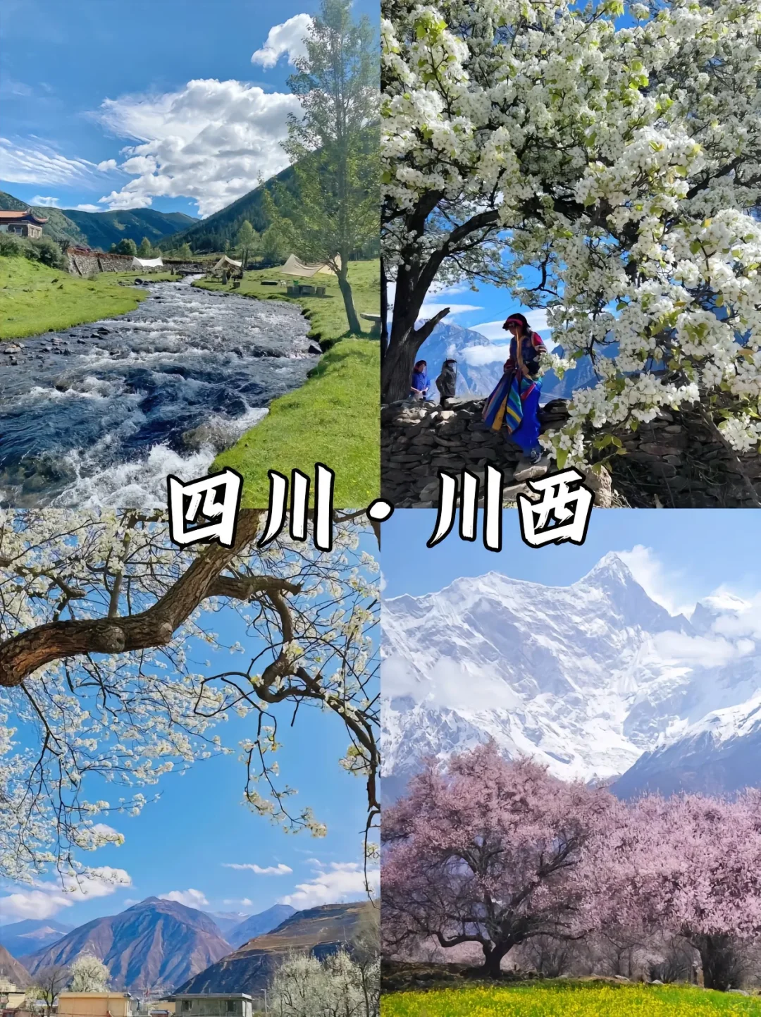 赏花漫游🖼️适合春季旅游的9️⃣座城市