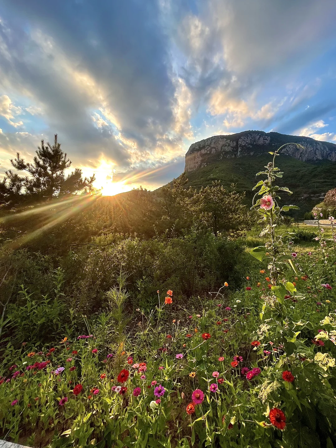 🌻✨邯郸小众宝藏出游推荐
