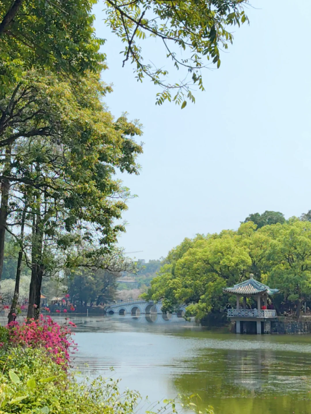 肇庆七星岩免费及优惠政策(2025年)