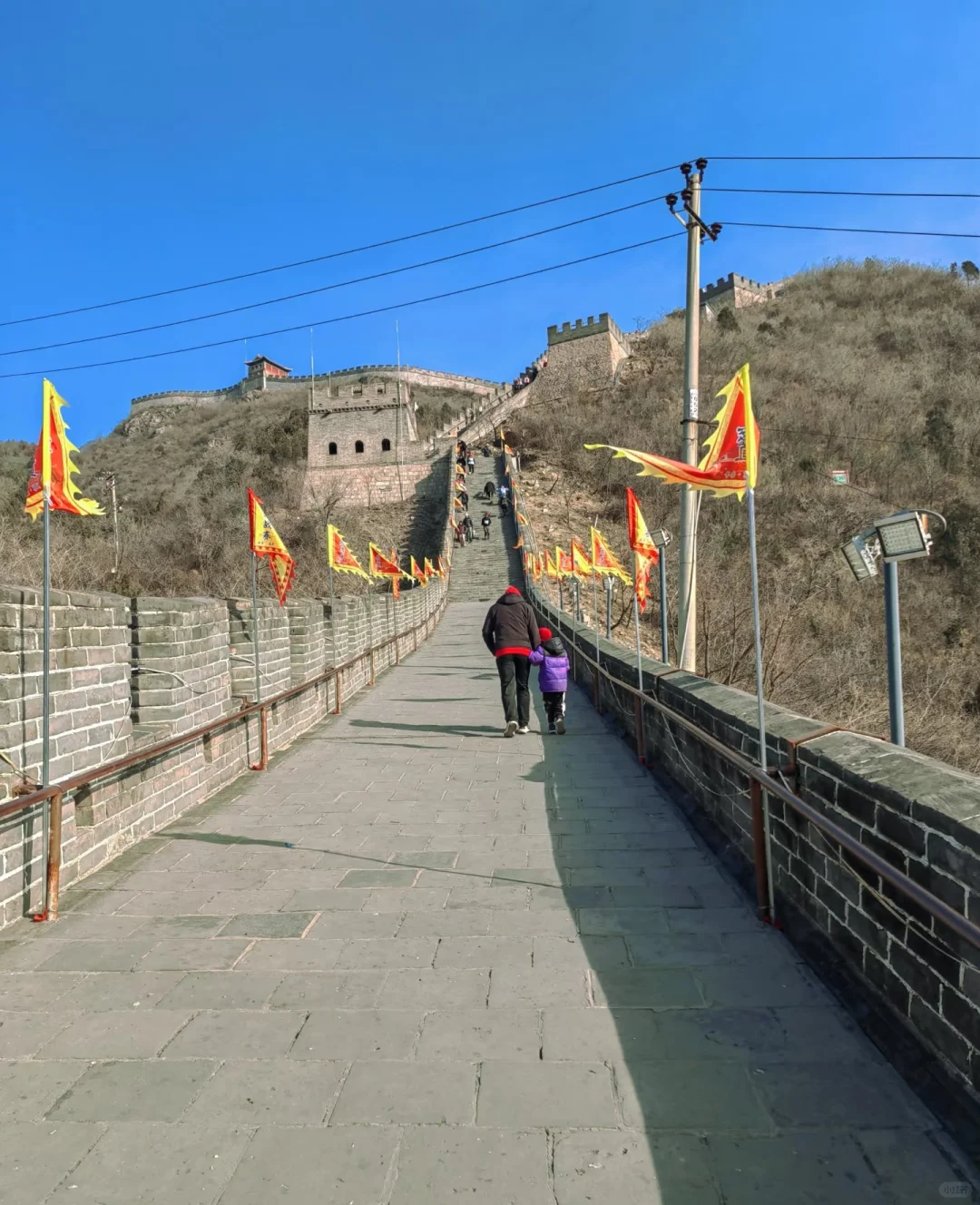 居庸关长城春日赏花季，旅游攻略