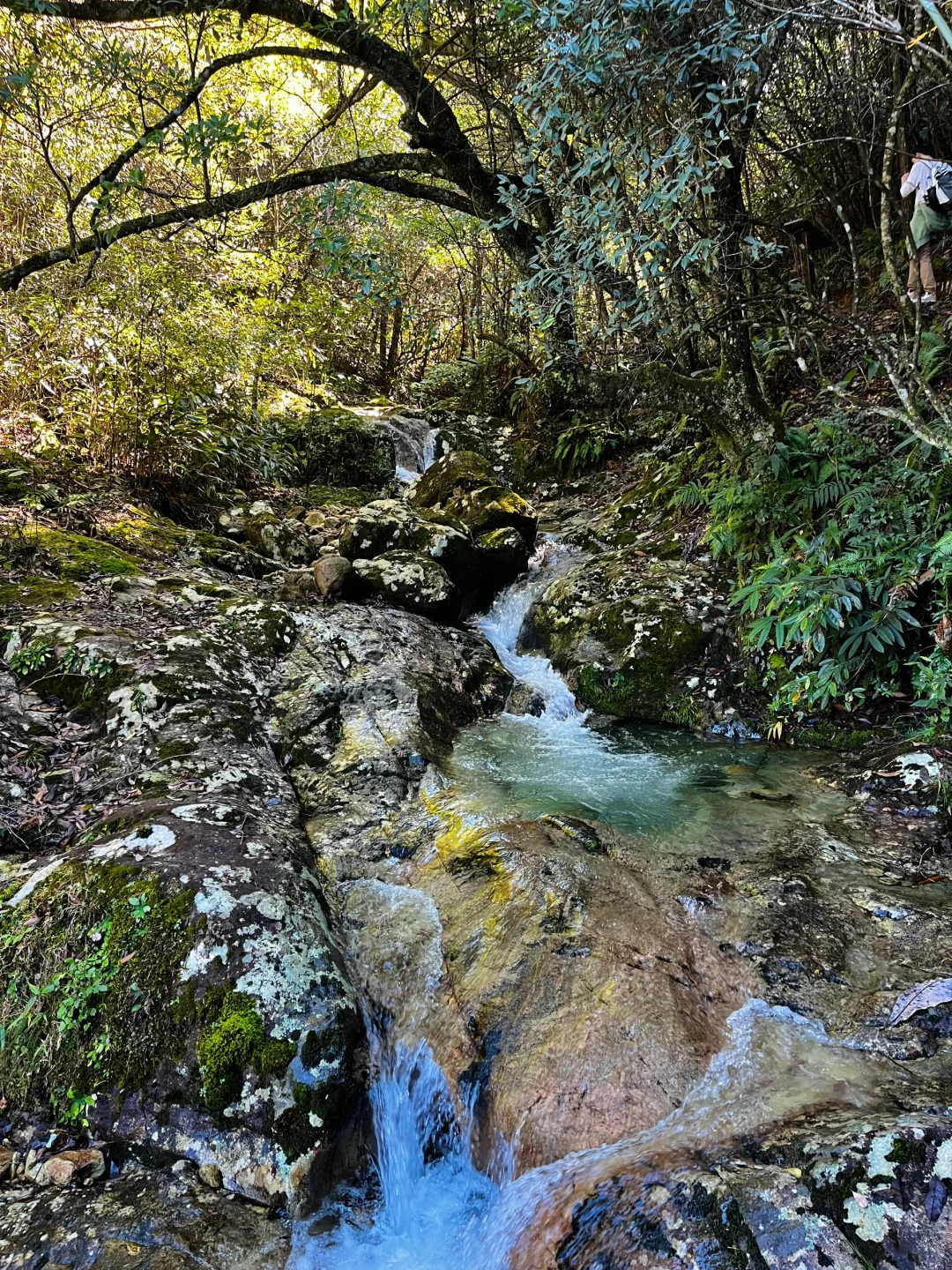 丽水秘境徒步｜阳光洒落 潭水如钻🍃🧊🫧