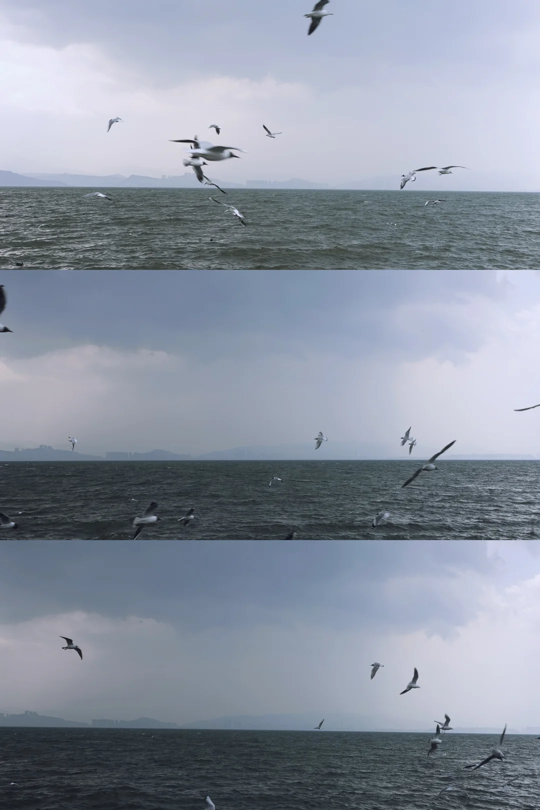 3月我一个人在云南七天自由行的行程与花费