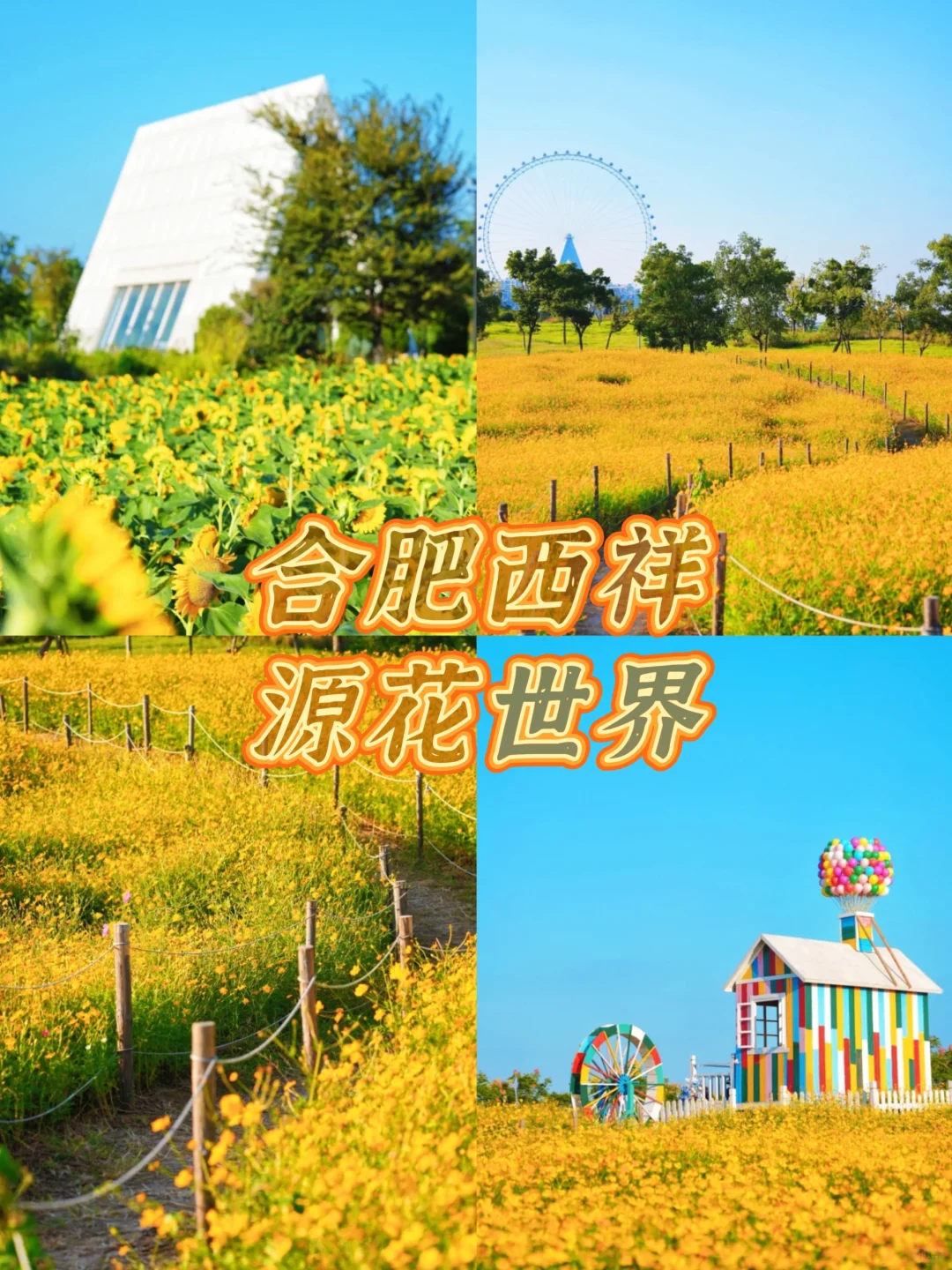 安徽3-4月必去的十大赏花胜地🌸