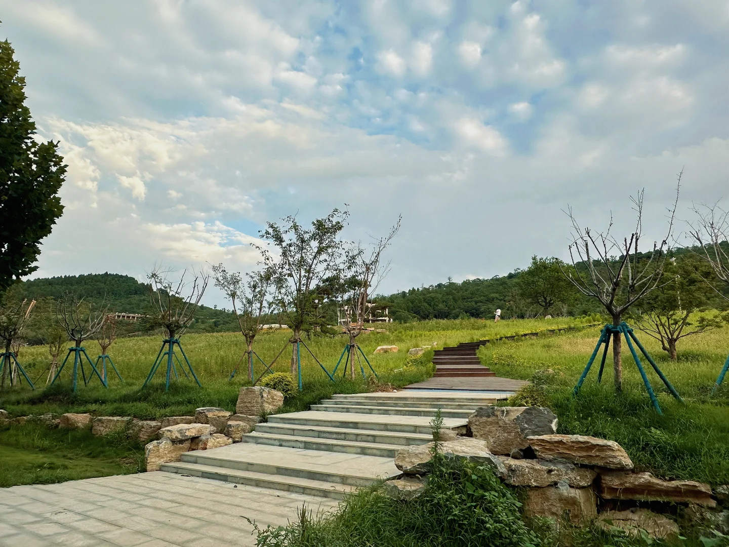 不用去新疆，枣庄也有自己的阿勒泰