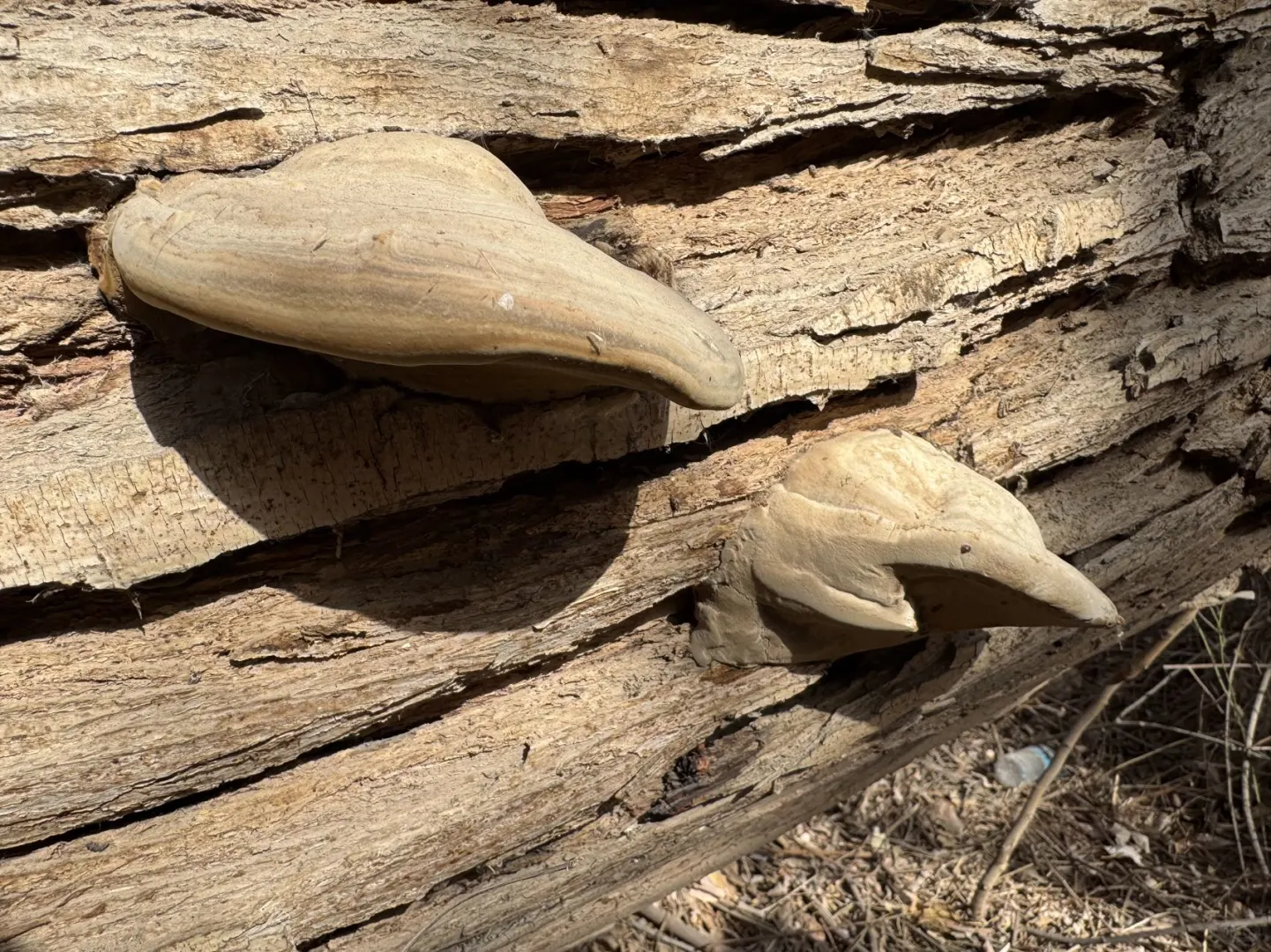 肉孜节|2️⃣个短途亲子出游小众地➡️线路