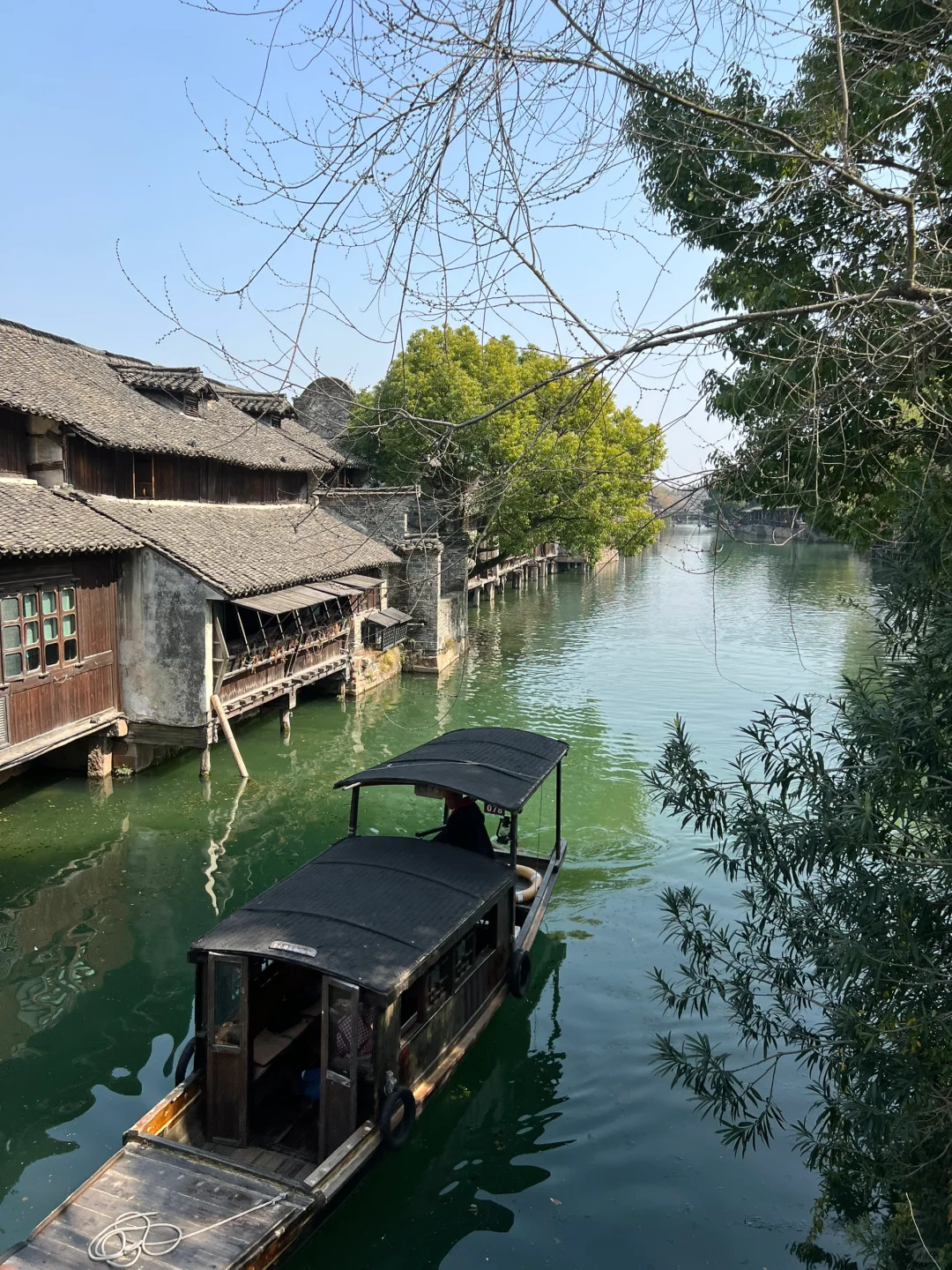 3.20📍乌镇已回！住景区里太爽啦，live直出