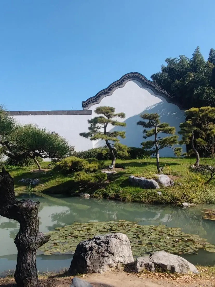 烟花三月下扬州🎆，总要来一趟扬州吧！