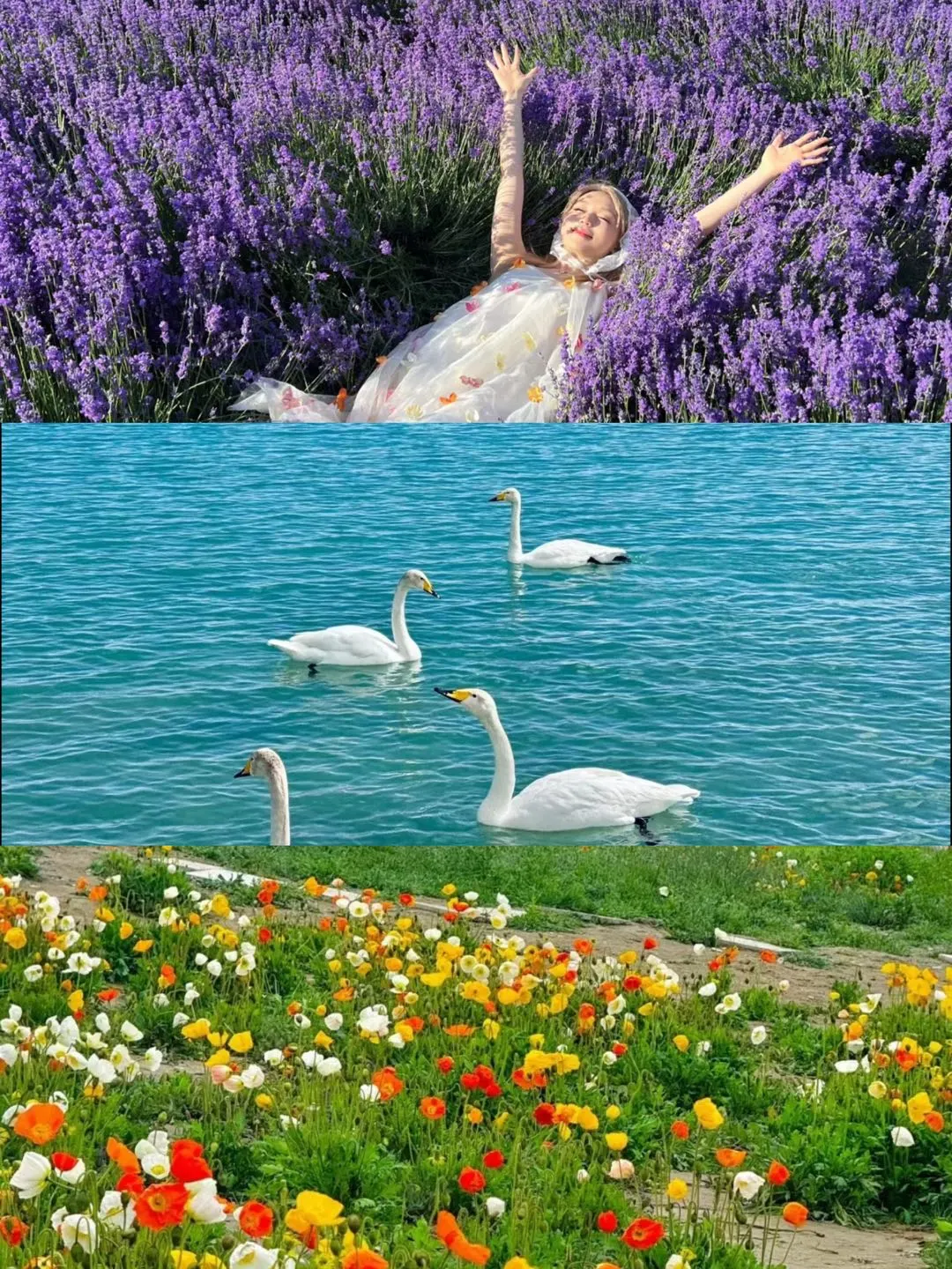 伊犁旅游超全攻略💯不想踩雷看这篇就够了