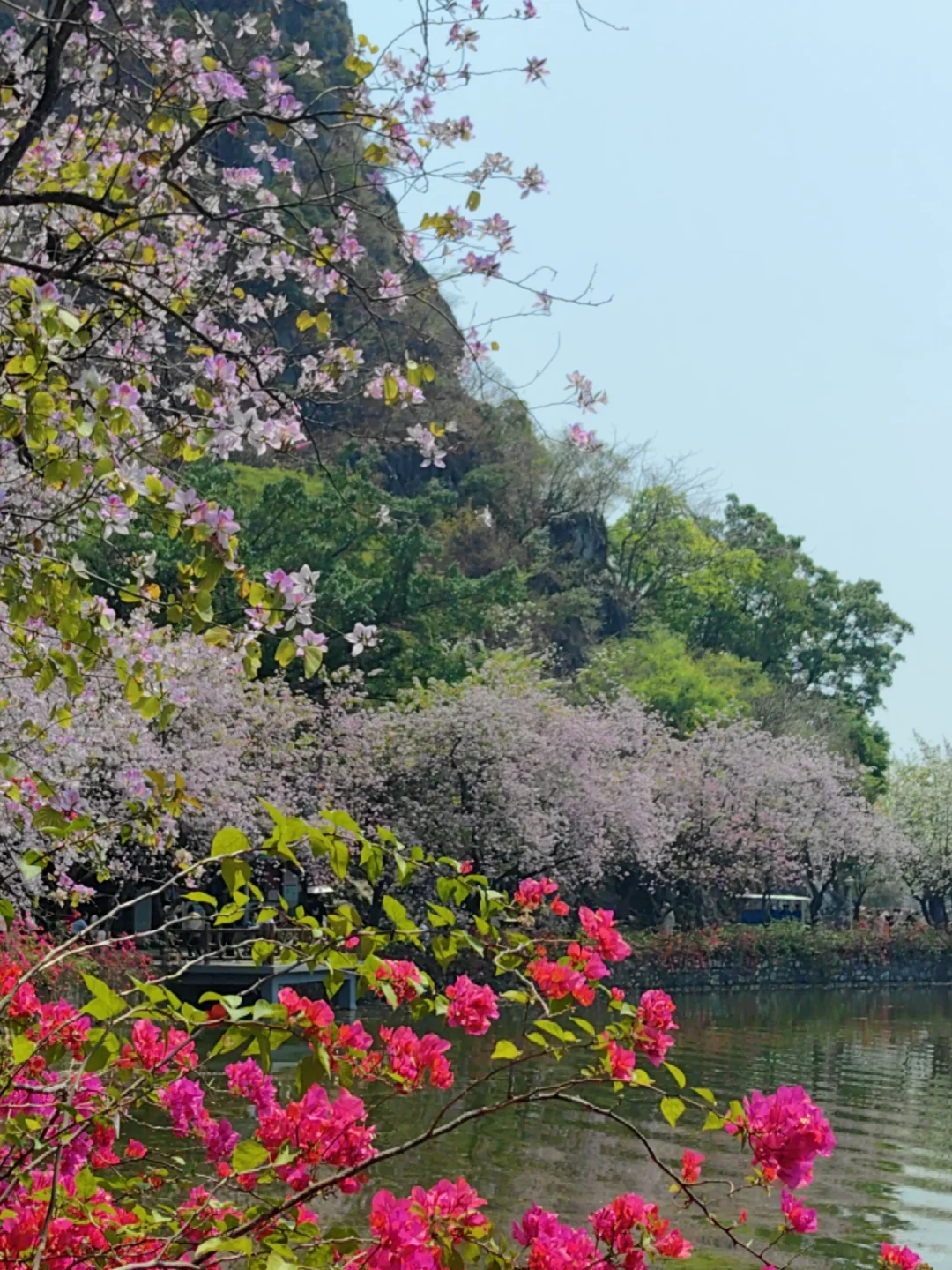 肇庆七星岩免费及优惠政策(2025年)