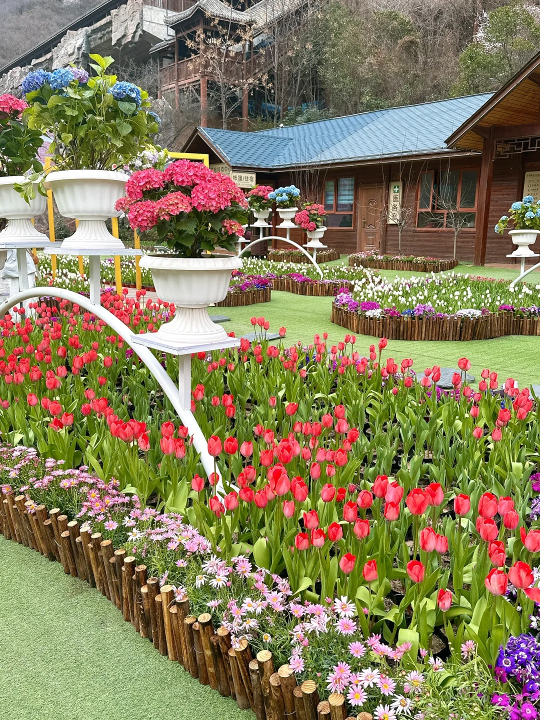 🌷在莫奈花园里