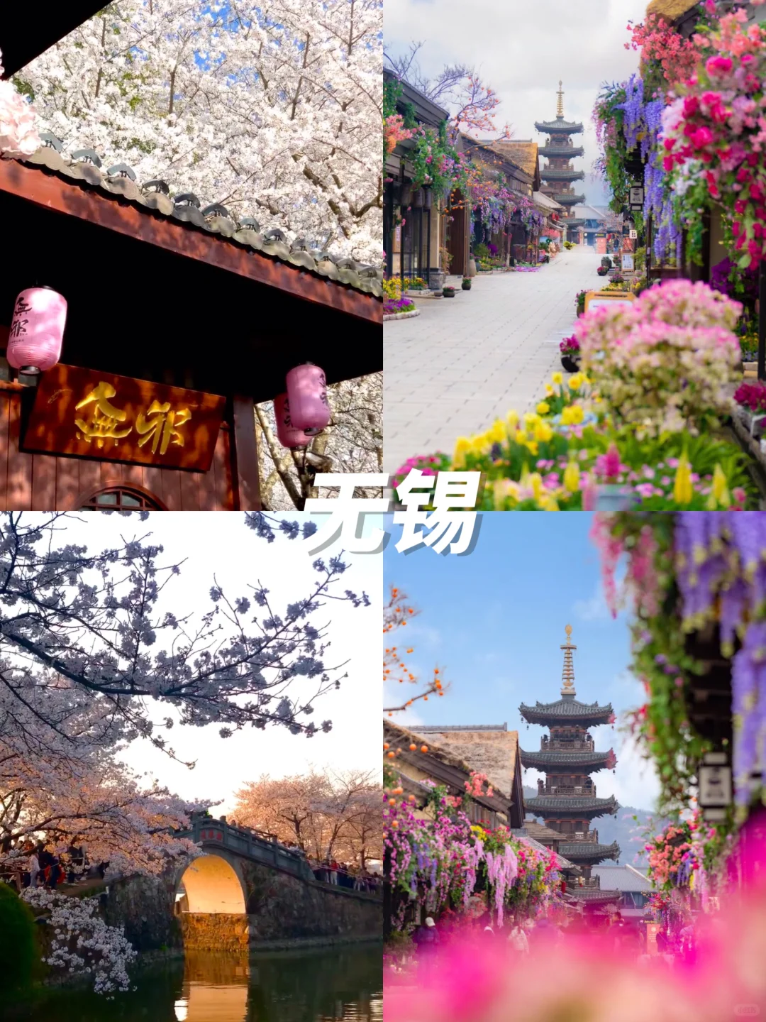 清明赏花游🌸3-4月绝美不踩雷九个城市‼️