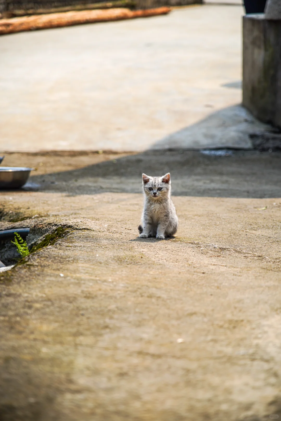 📍贵州兴义万峰林 当一次精神村民