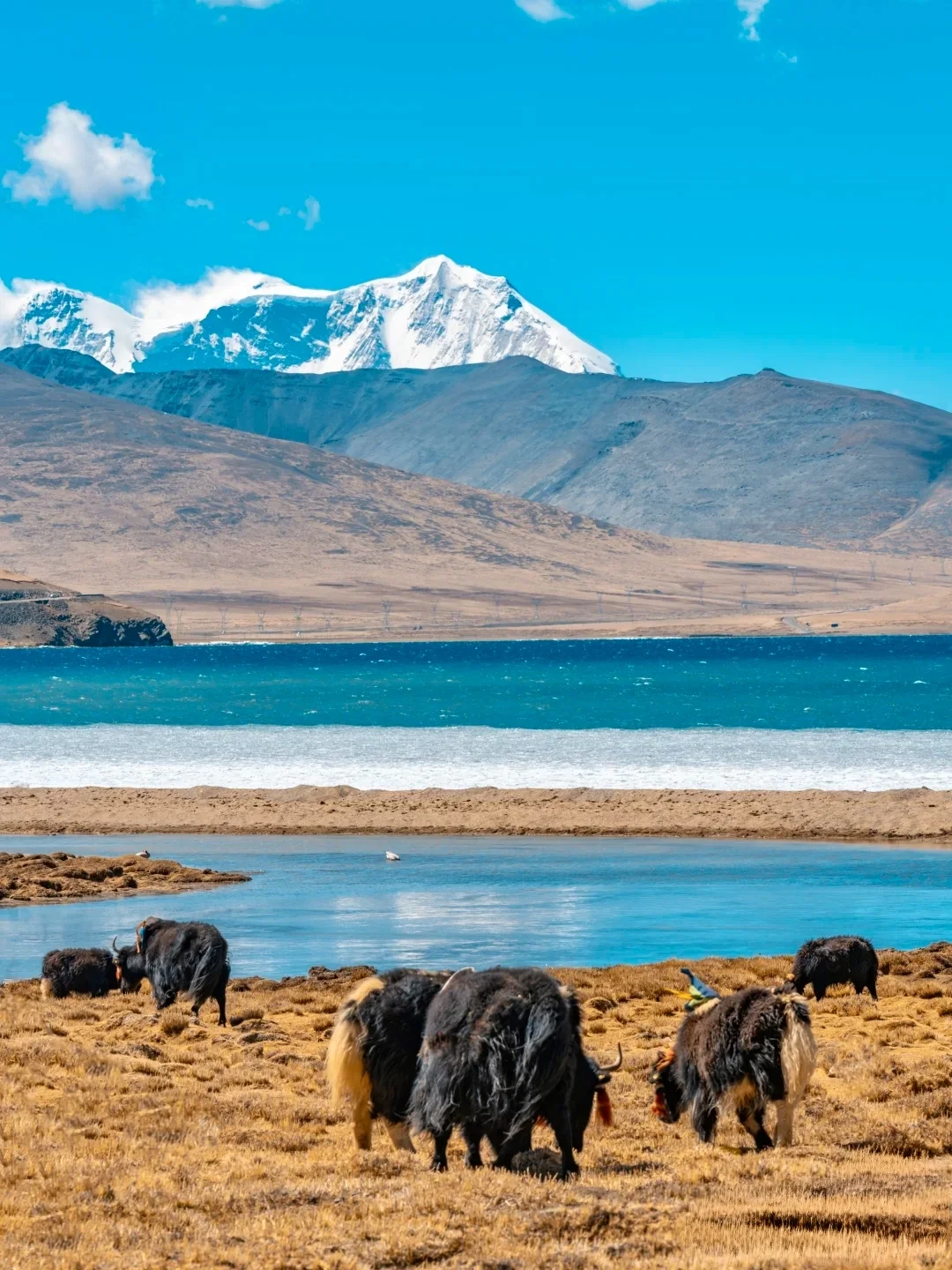 西藏七大必去景点 绝美！！！