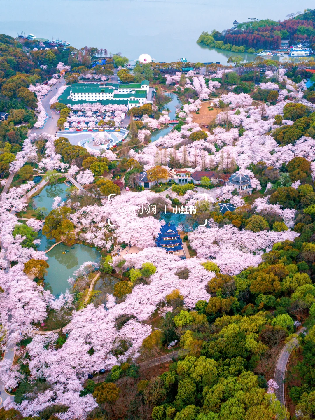 刚从无锡鼋头渚回来，能劝一个是一个‼️