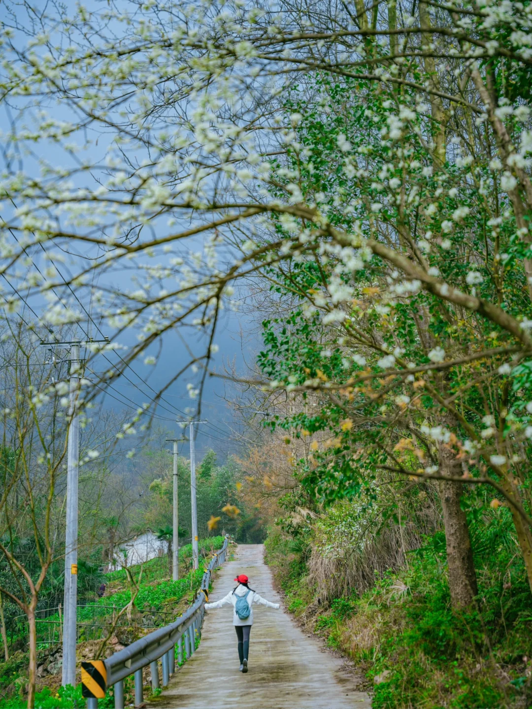 在成都周边！！我唯一想去无数次的徒步路线！！