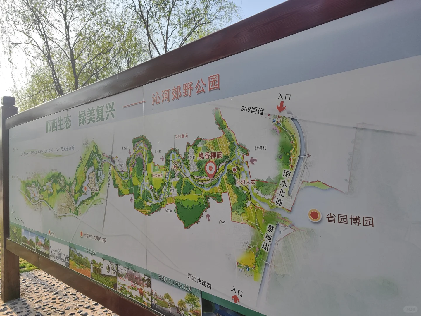 ✨邯郸👣免费露营遛娃的好地方