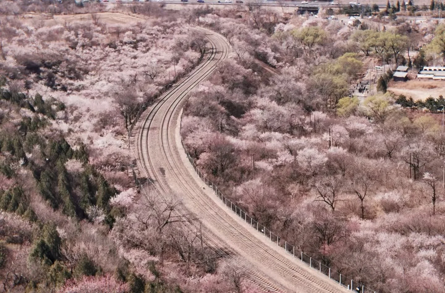 居庸关长城春日赏花季，旅游攻略