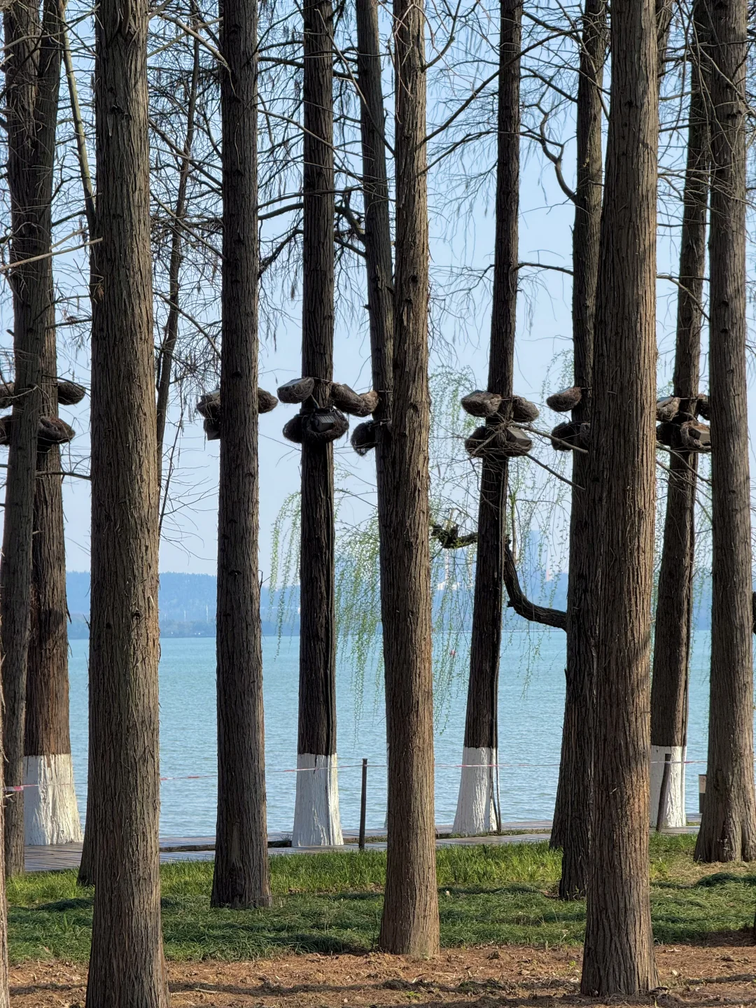 以为东湖磨山已经很美了,直到我去到这里…