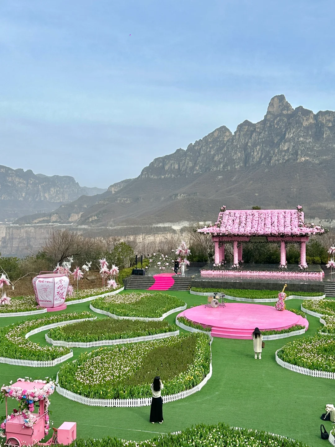 🌷在莫奈花园里