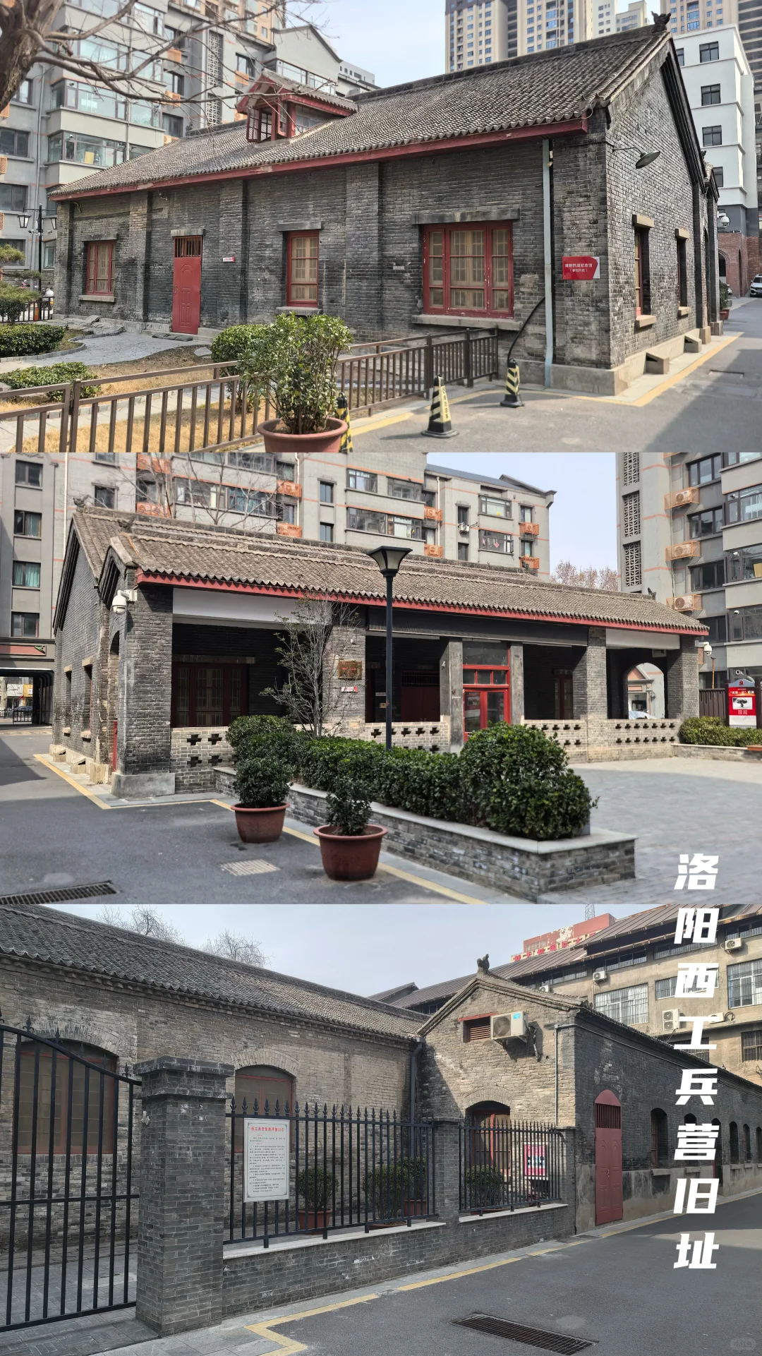 牡丹待放🌸｜洛阳还有这些地方穿越千年