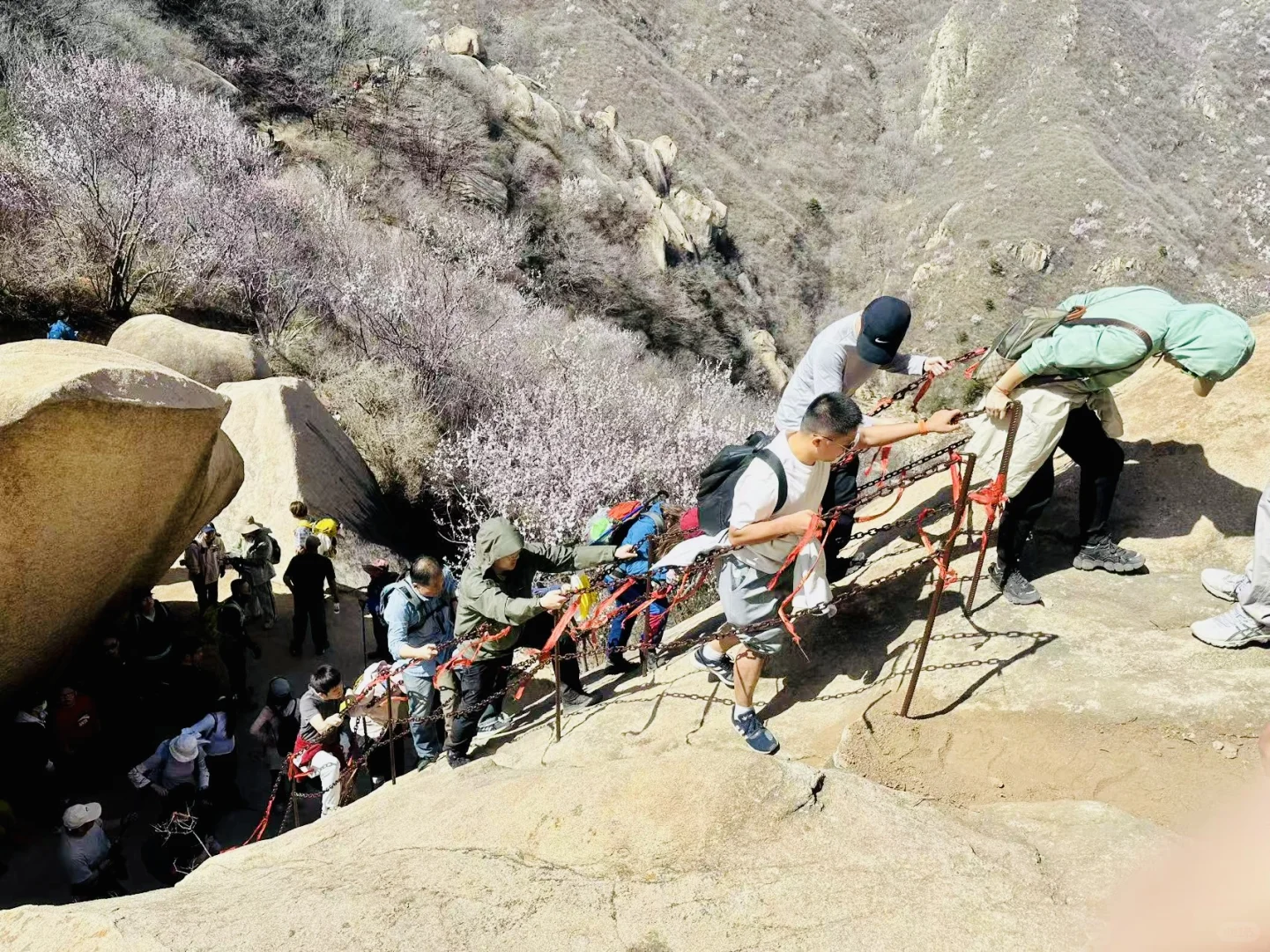 3月22日后花园，这山这花这人间值得❤️