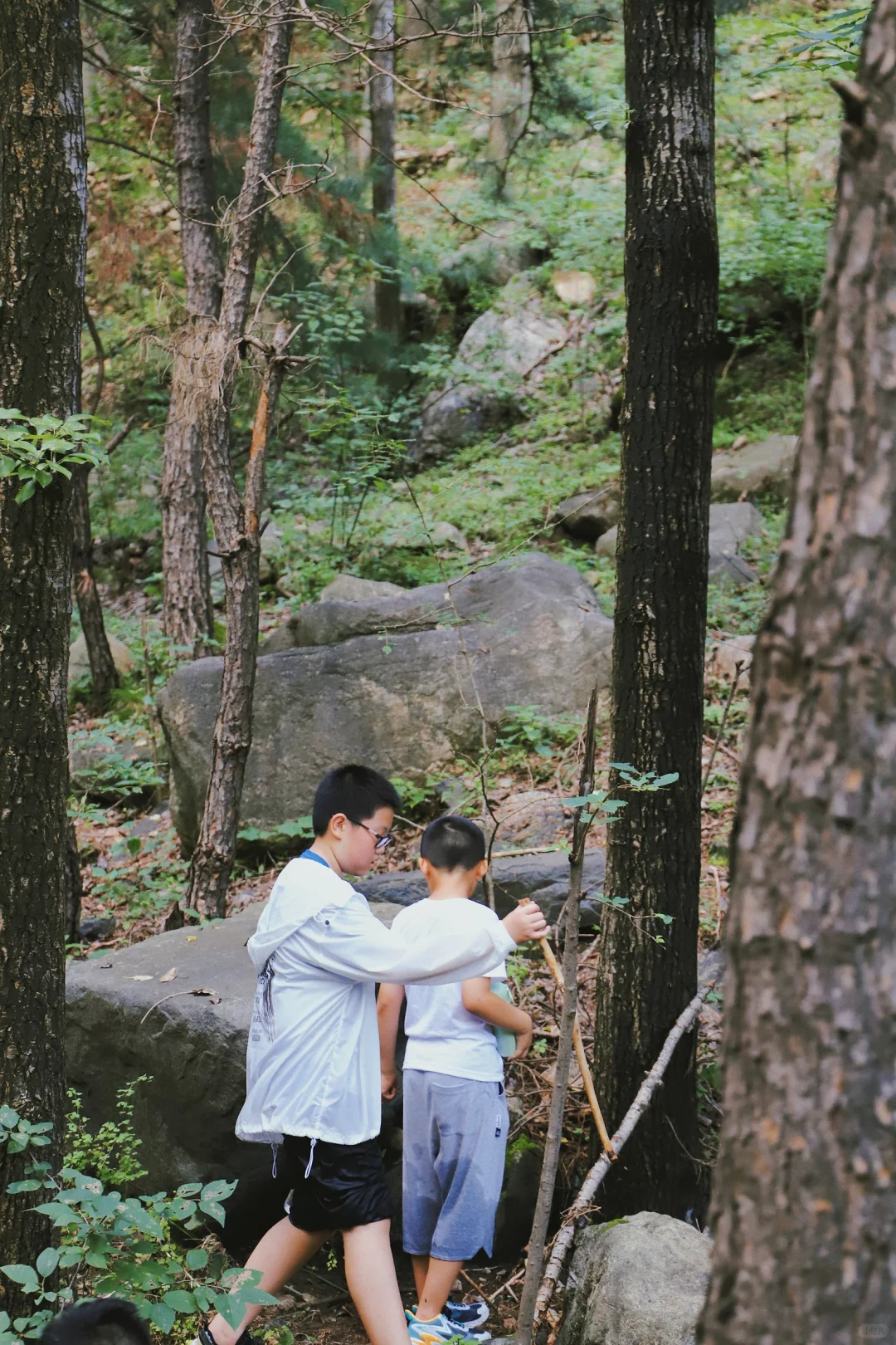 石家庄每周一山|爬过的32座山～溜娃攻略
