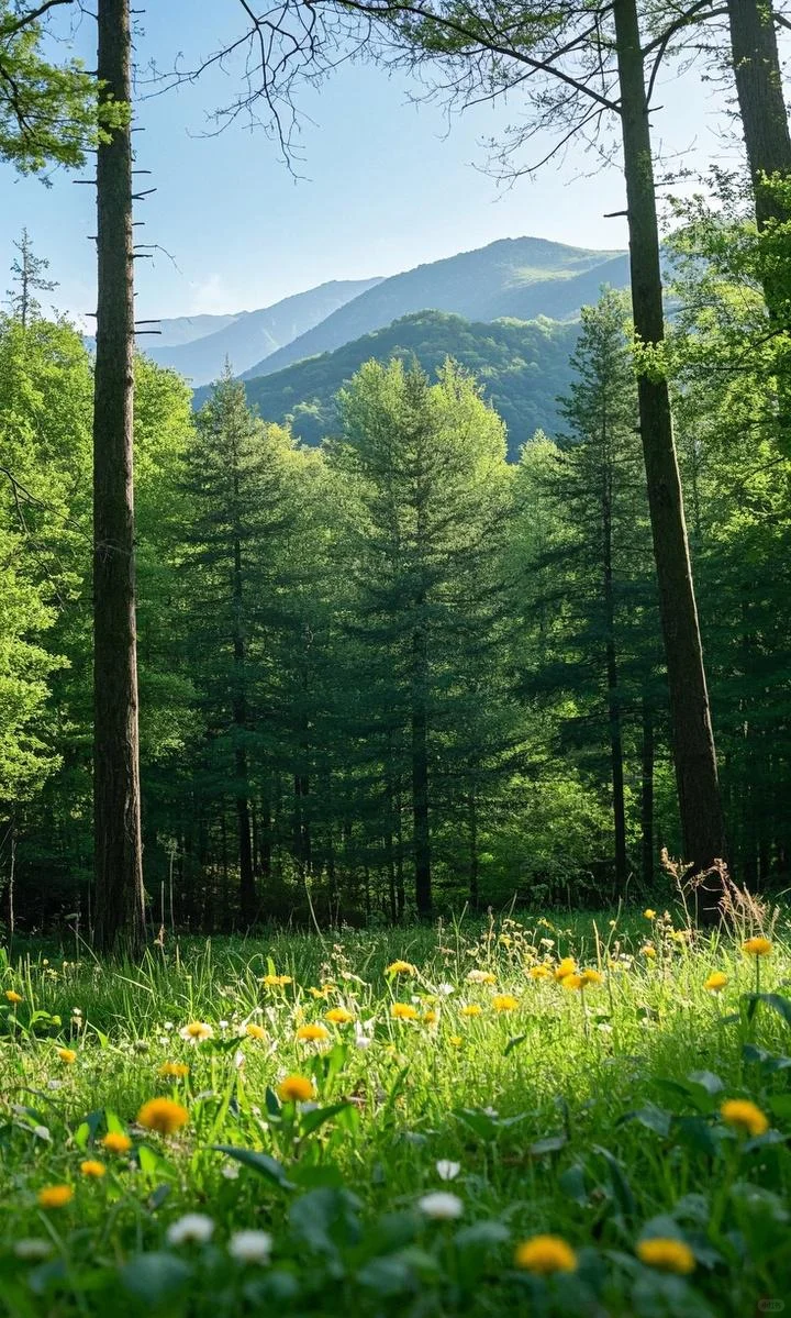 北方春日漫游|小众宝藏地大公开✨