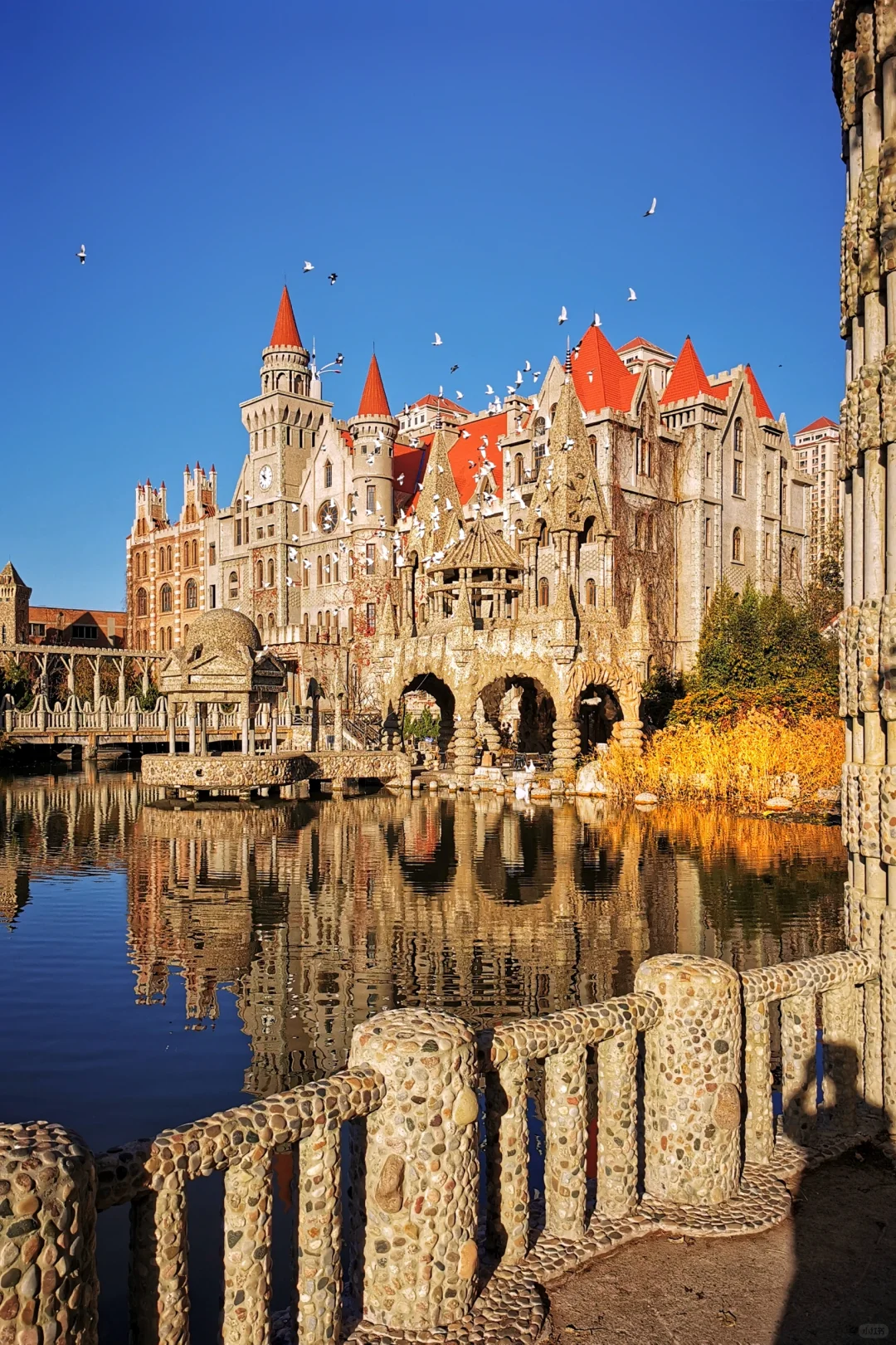 打卡天津254：惊艳的中华石园🌺