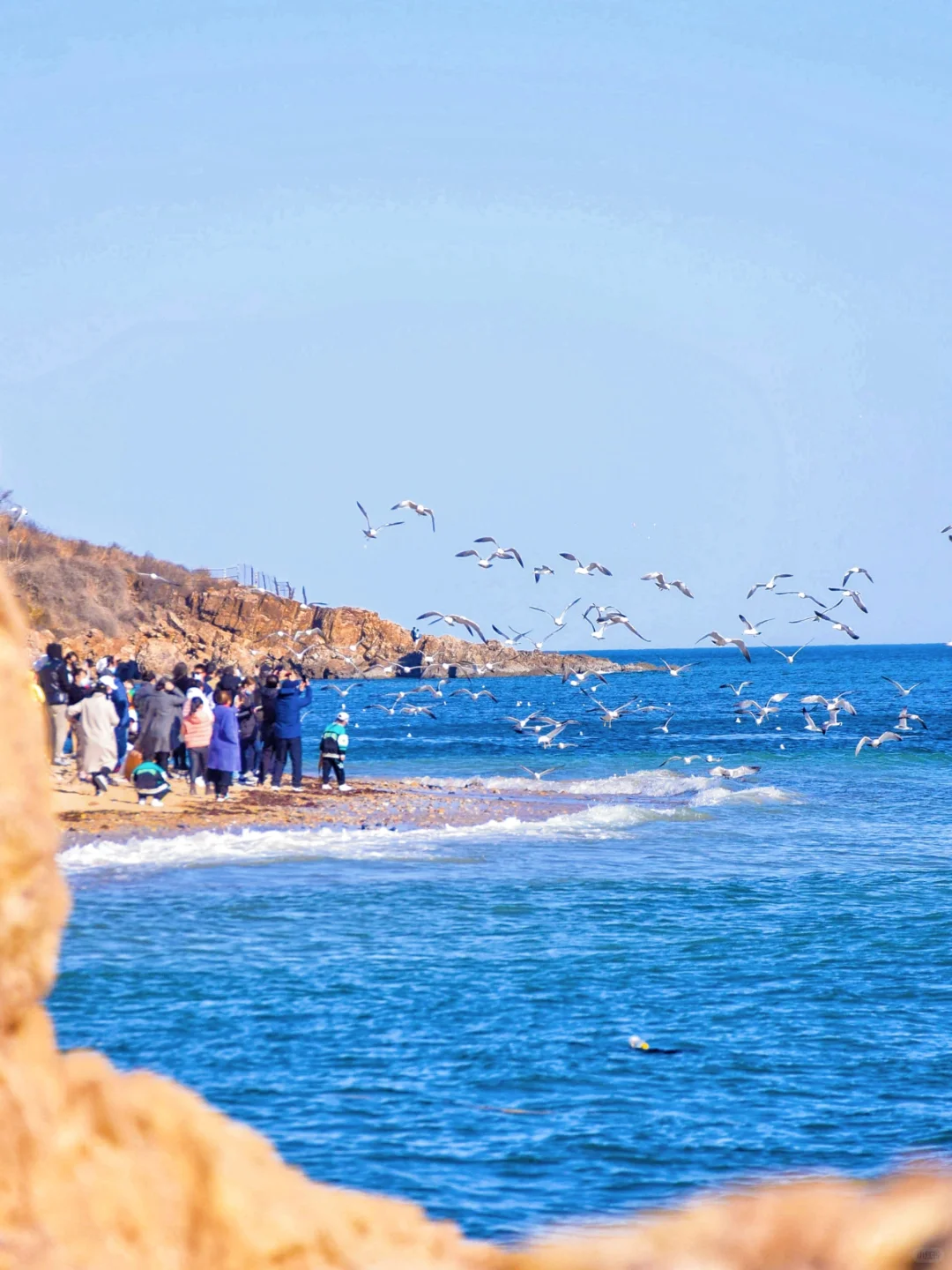 以为烟台已经够美了，直到去了大连……