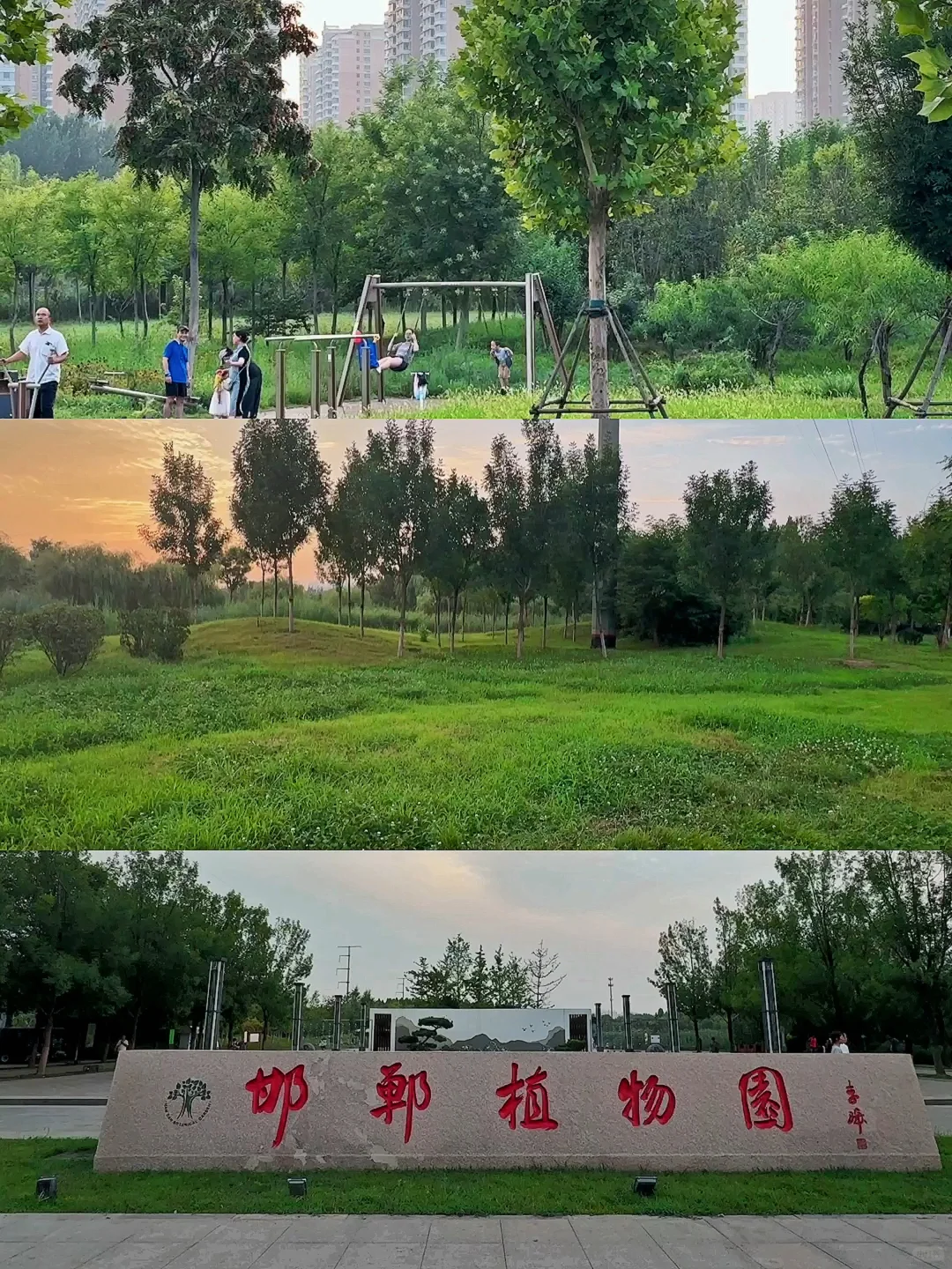 公园20分钟效应·邯郸植物园带来的松弛感🌲