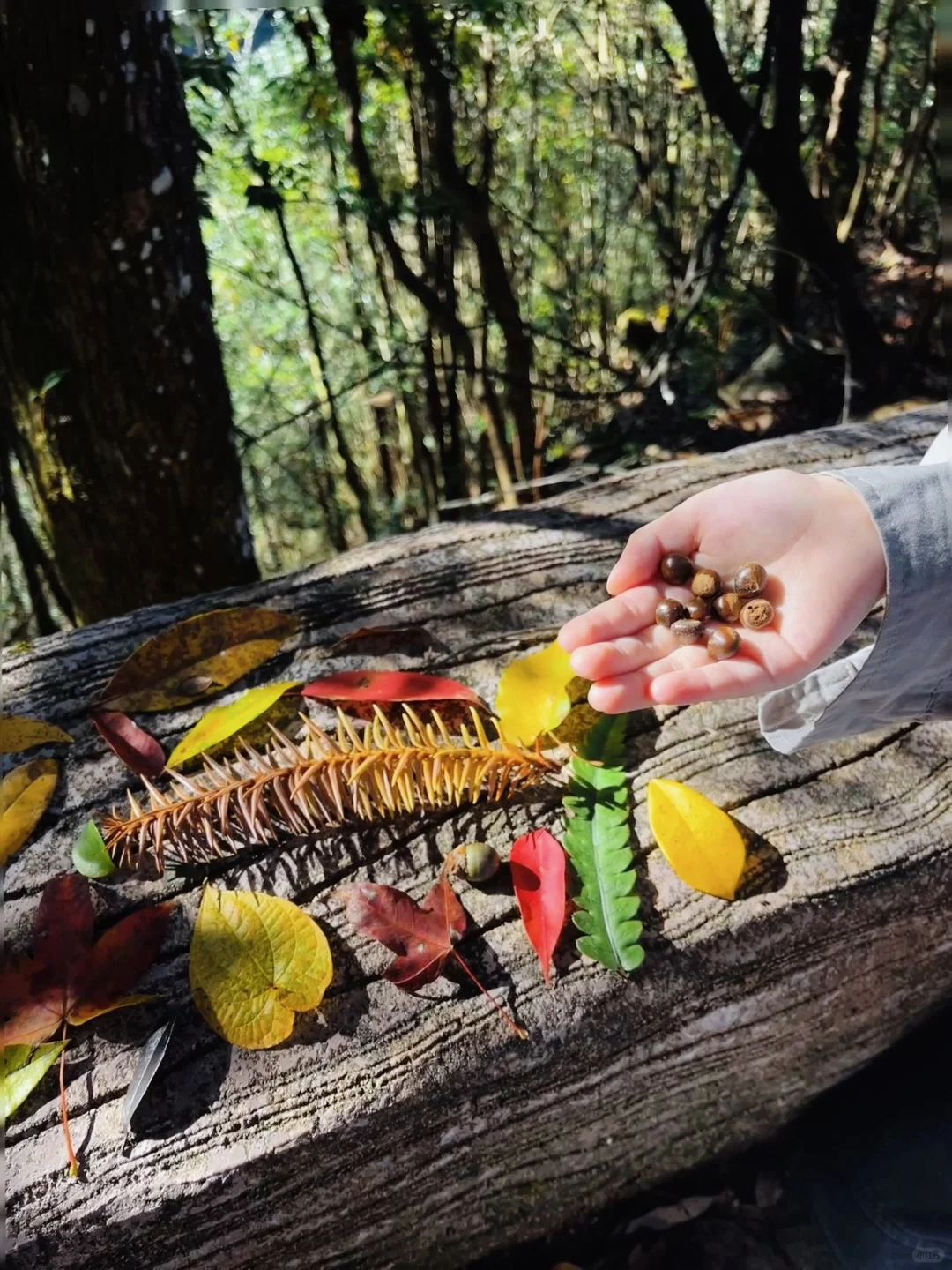 丽水秘境徒步｜阳光洒落 潭水如钻🍃🧊🫧