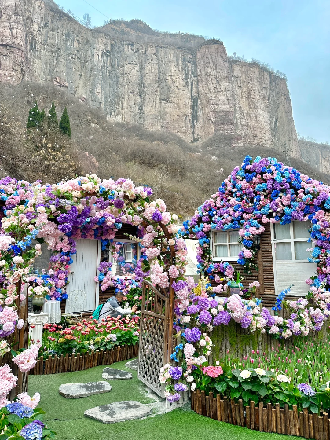 🌷在莫奈花园里