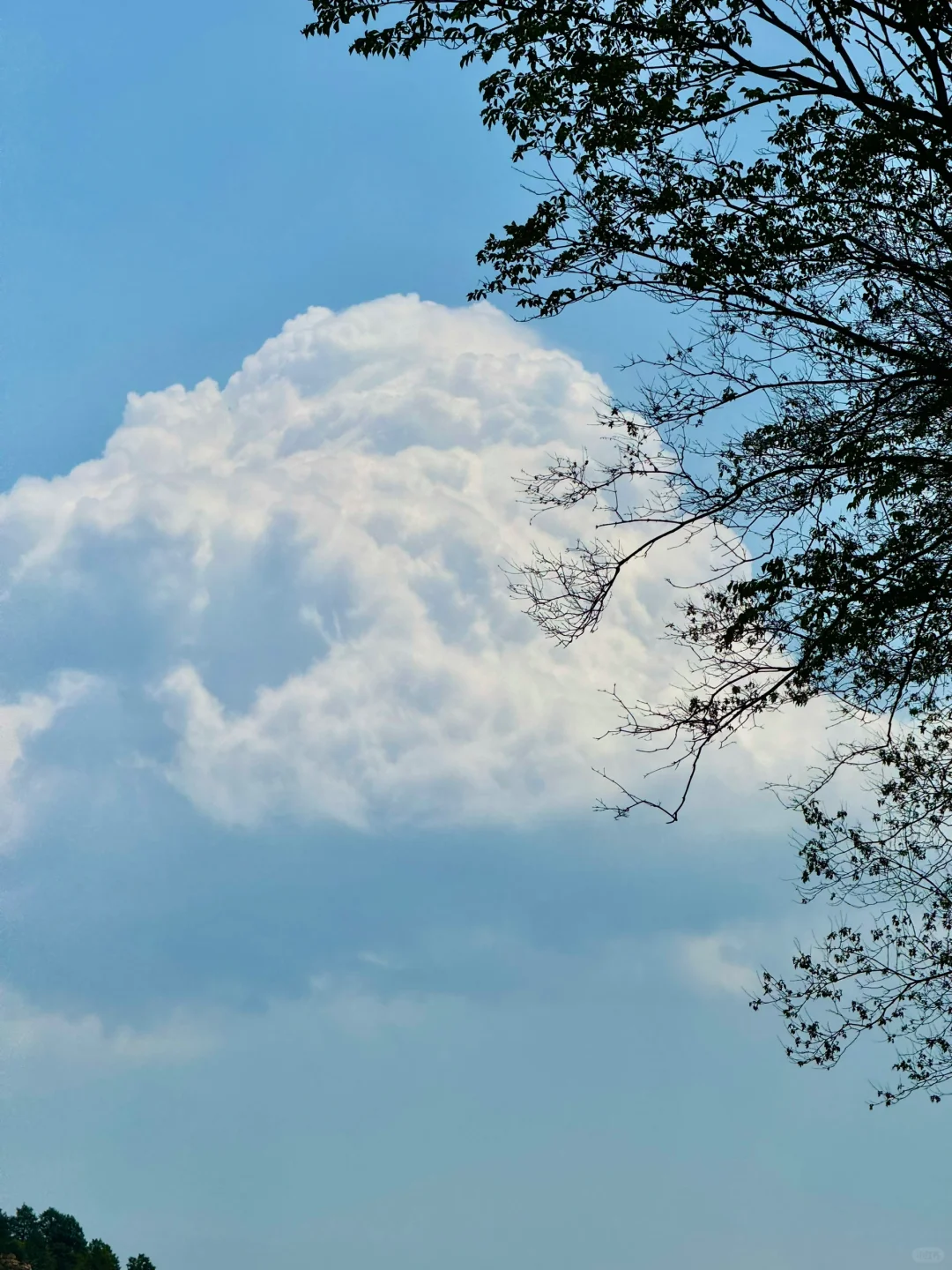 距离邯郸🚗1.5h的小众森林🌲🌲