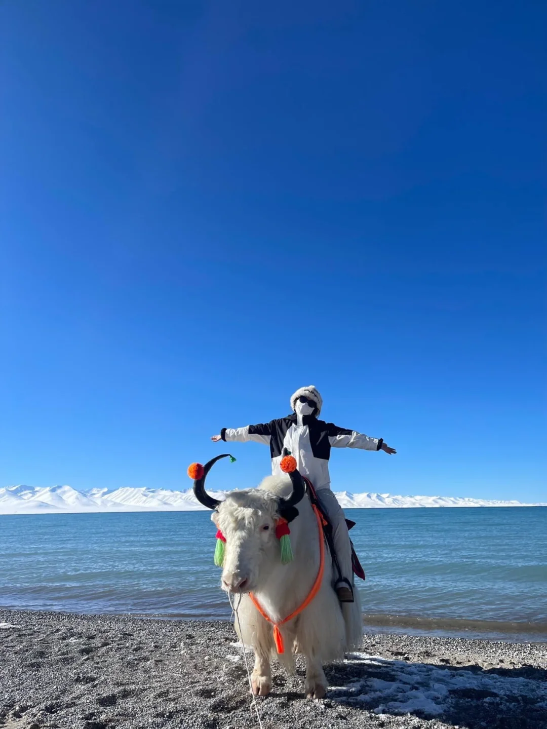 西藏报了个纯玩小团，真的强烈推荐（不是广