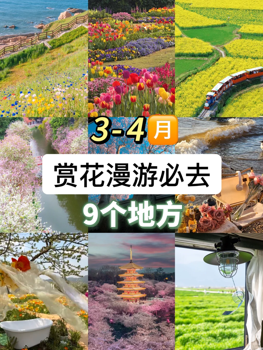 清明赏花游🌸3-4月绝美不踩雷九个城市‼️