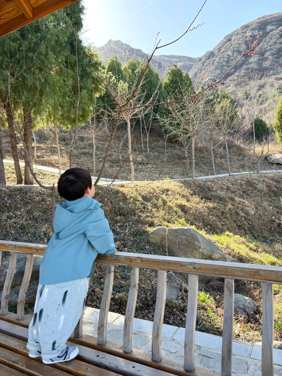 带着宝宝👶上春山⛰️⛰️🏔️🗻