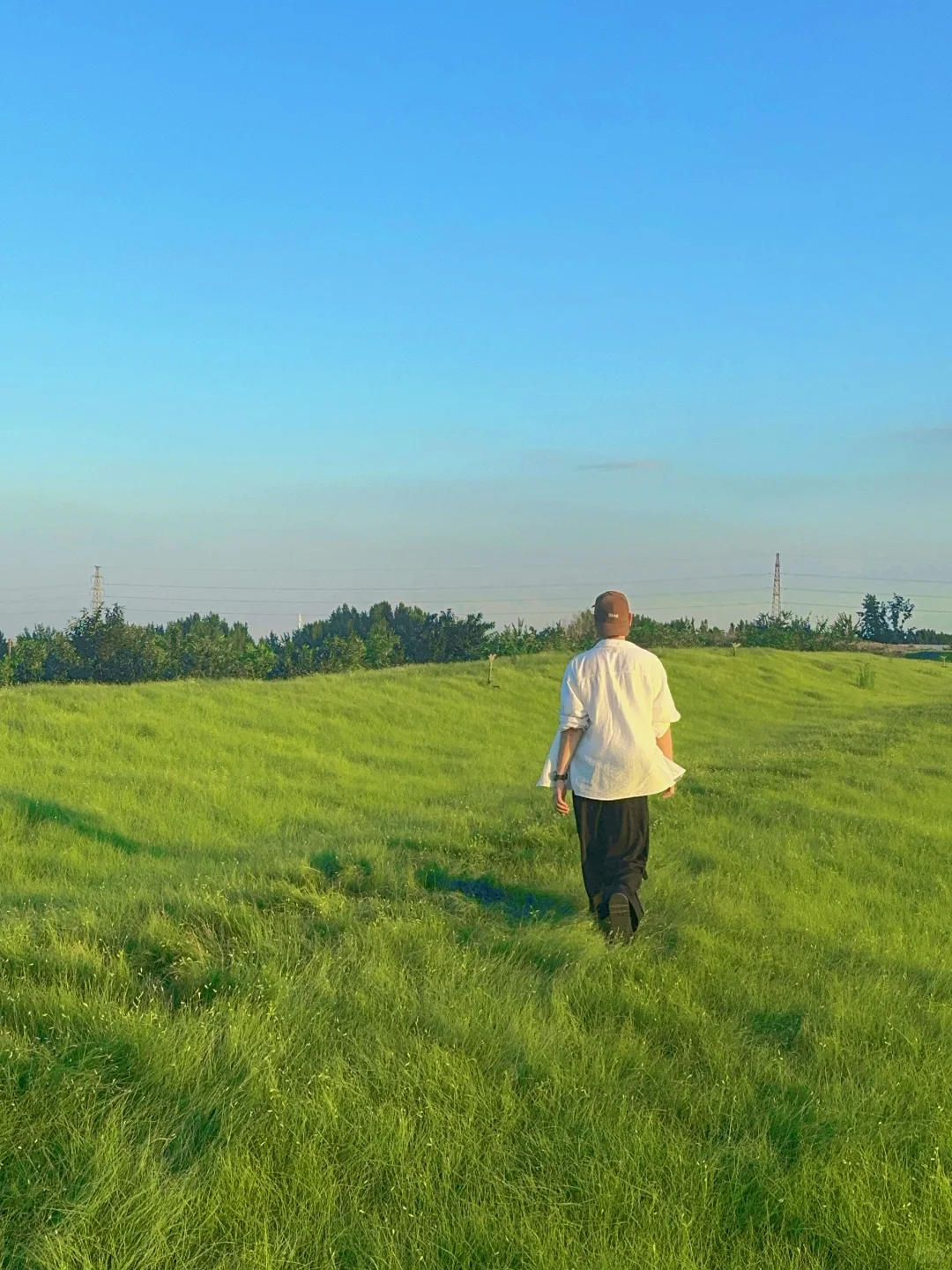 赵王城遗址公园|这片草坪太出片啦!敲治愈✅