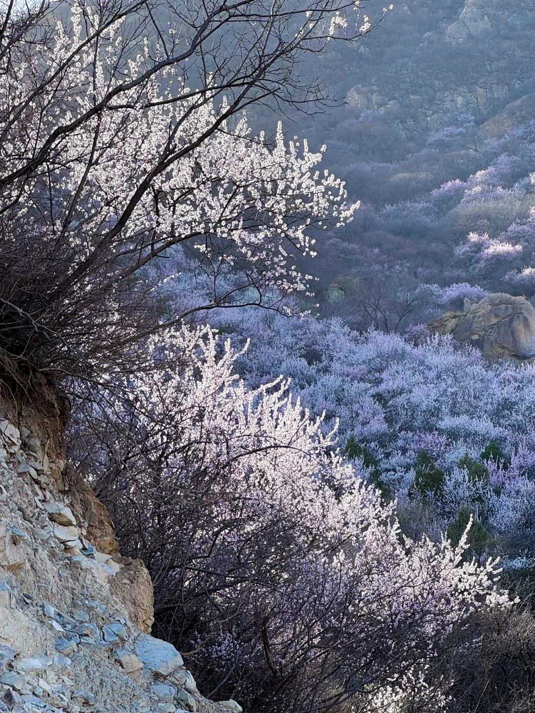 3.22 白虎涧 带上你最好的相机冲冲冲!