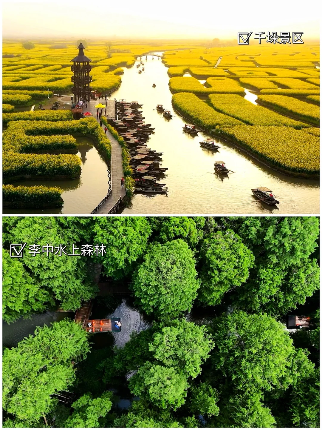 江苏旅游——泰州三月必打卡的八个景点