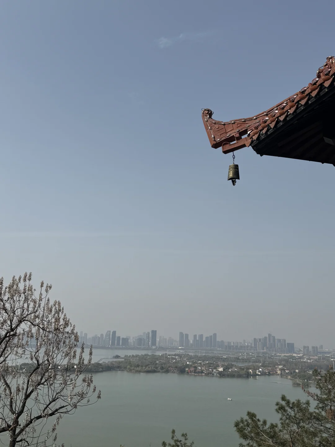 今日份的赏樱踏青🌸📸