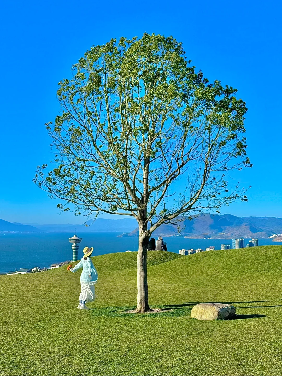 live图的意义｜大理福尼亚🌳🌳🌳