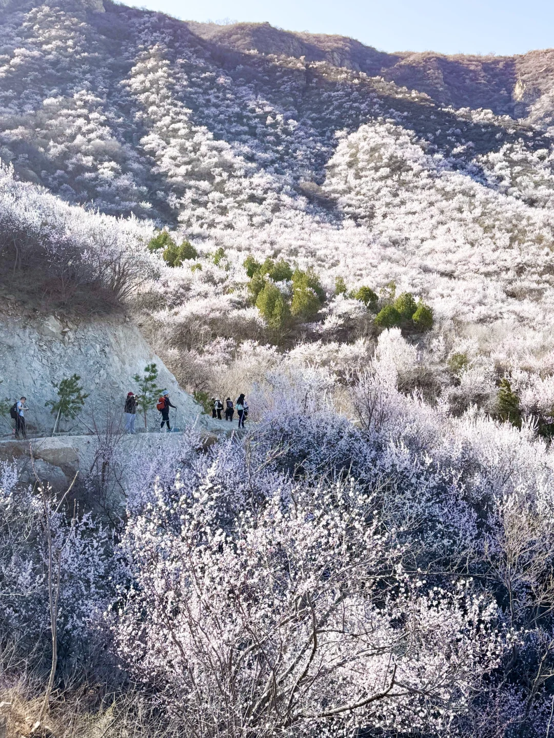 3.22 白虎涧 带上你最好的相机冲冲冲!