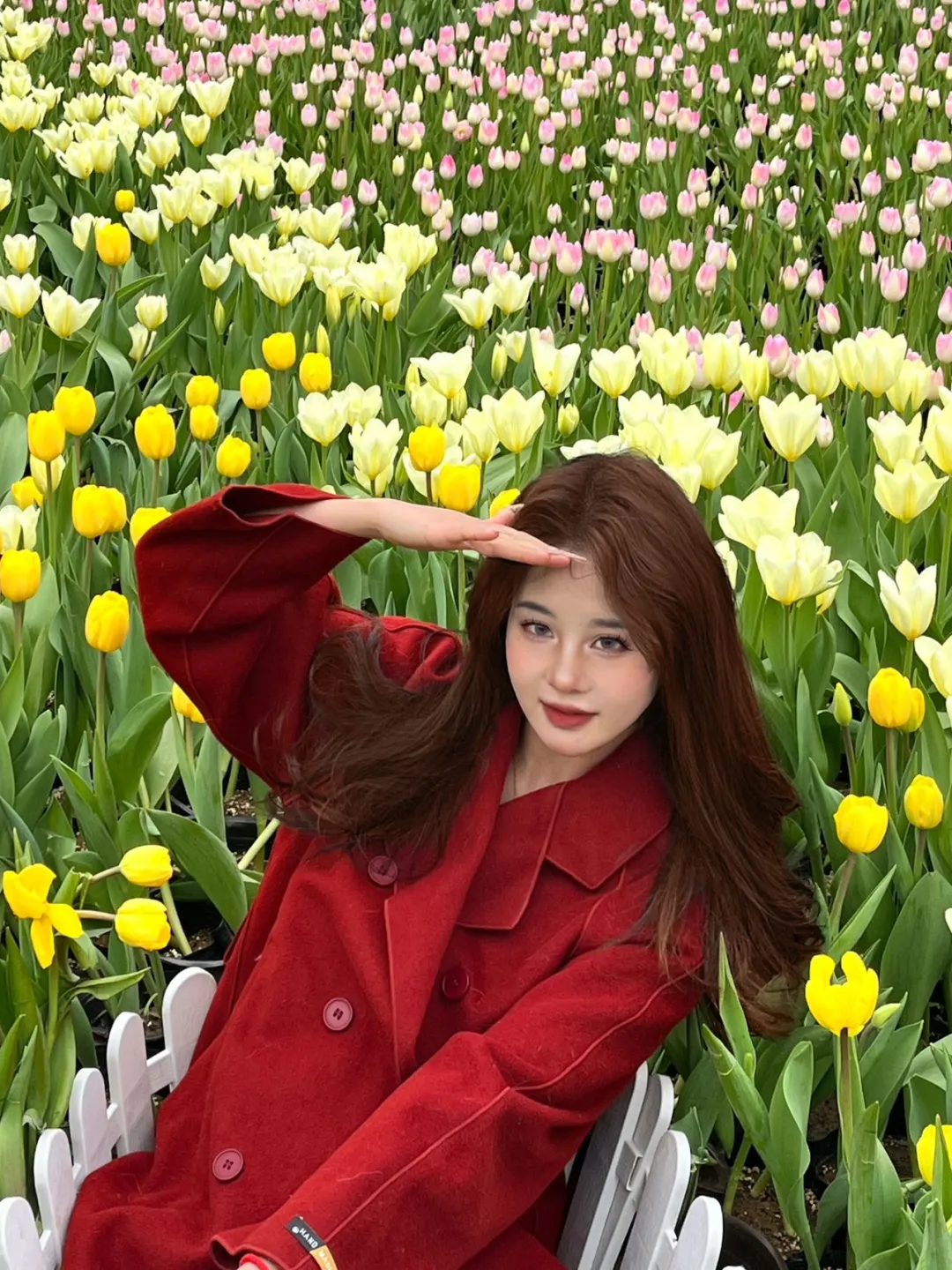 谁懂！河南宝泉藏着春日限定郁金香花海🌷